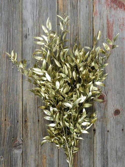 ITALIAN RUSCUS PAINTED GOLD TINTED